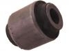 悬架衬套 Control Arm Bushing:55152-WL000