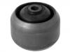 悬架衬套 Suspension Bushing:55501-AV605